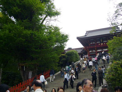 Kamakura Hachimangu shrine steps