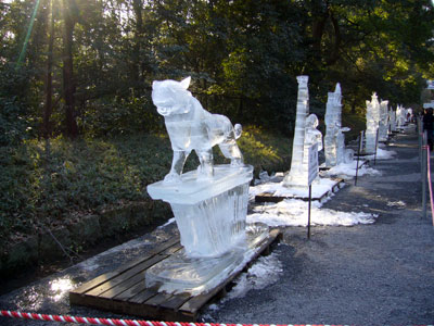Meiji shrine ice