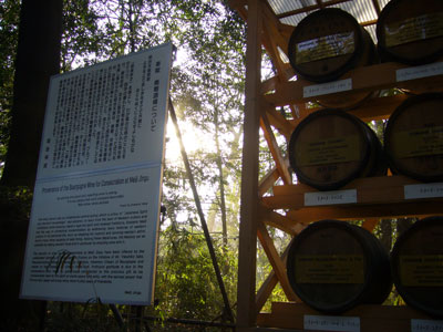 Meiji shrine wine barrels intro